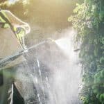 dosage roundup pour 5 litres d eau 1