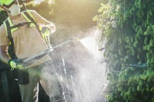 dosage roundup pour 5 litres d eau 1